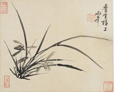 Landscapes, Flowers and Birds: Orchid, Qing Dynasty, 1780 by Luo Ping